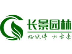 毛竹